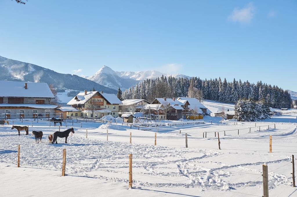 Vorberghof 2* Ramsau am Dachstein